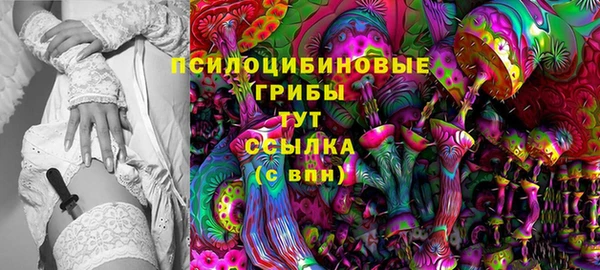 не бодяженный Алексин