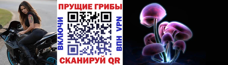 как найти закладки  Чайковский  Псилоцибиновые грибы MAGIC MUSHROOMS 